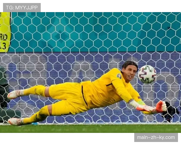 瑞士队门将索默老将坐镇 经验丰富把守最后防线